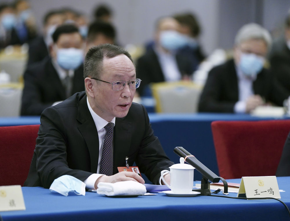 5月23日，全國政協(xié)委員王一鳴在經濟界聯(lián)組會上發(fā)言。新華社記者　謝環(huán)馳　攝